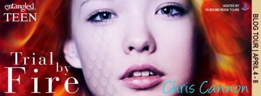 Trial by Fire tour banner 2