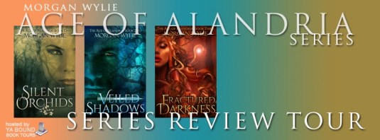 morgan wylie tour banner