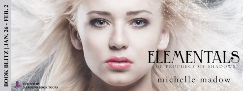 Elementals blitz banner