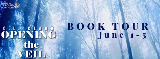 opening the veil tour banner (1)