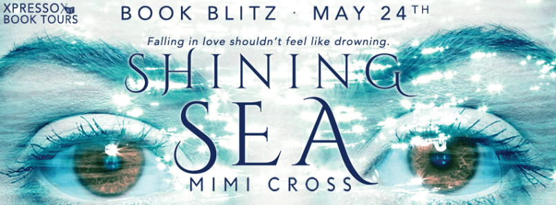 ShiningSeaBlitzBanner