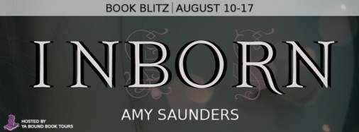 inborn blitz banner (1)