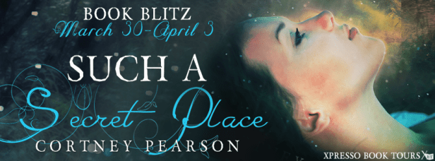 SuchASecretPlaceBlitzBanner2